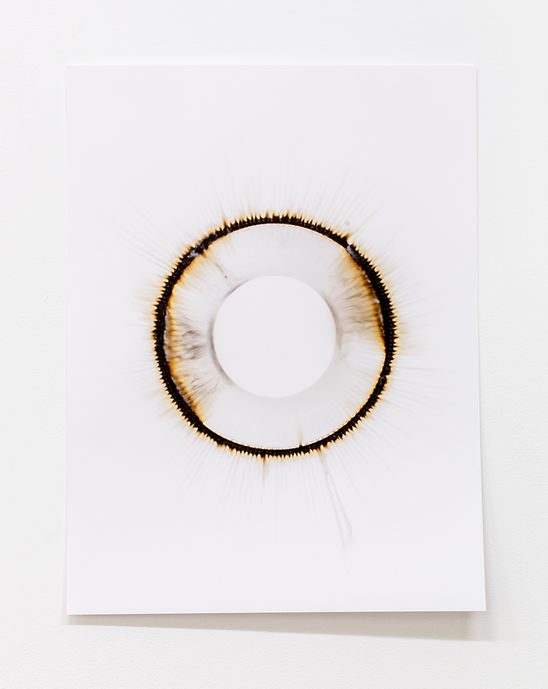 London Art Fair: Art Projects