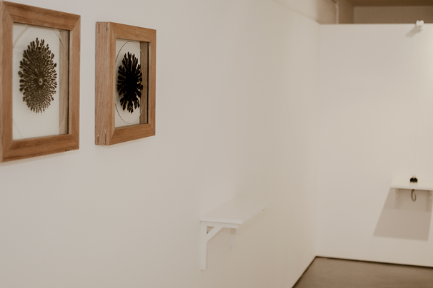 OBJECT / A | Artists | Antony Hall: Prototypes