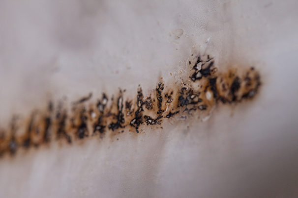 OBJECT / A | Artists | Lee Machell: Line #4 (2013) [Detail]