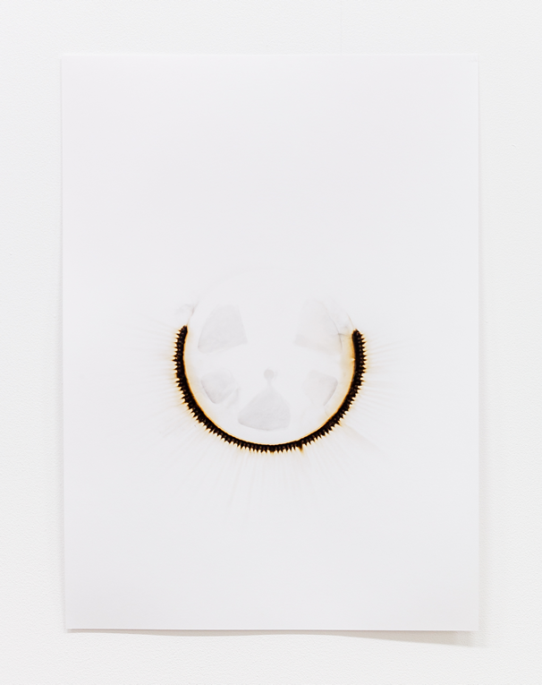 OBJECT / A | Exhibitions | Lee Machell: On Paper